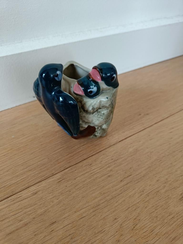 Nest zwaluw hirondelles, Ophalen