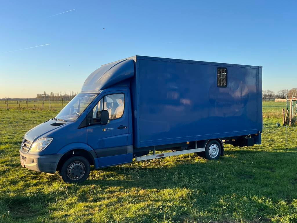 Mercedes sprinterpaardencamion, Stof, Zwart, Blauw, Diesel