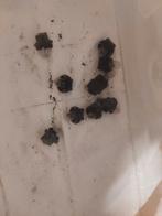 Toyota celica ta22 onderdelen, Ophalen, Toyota