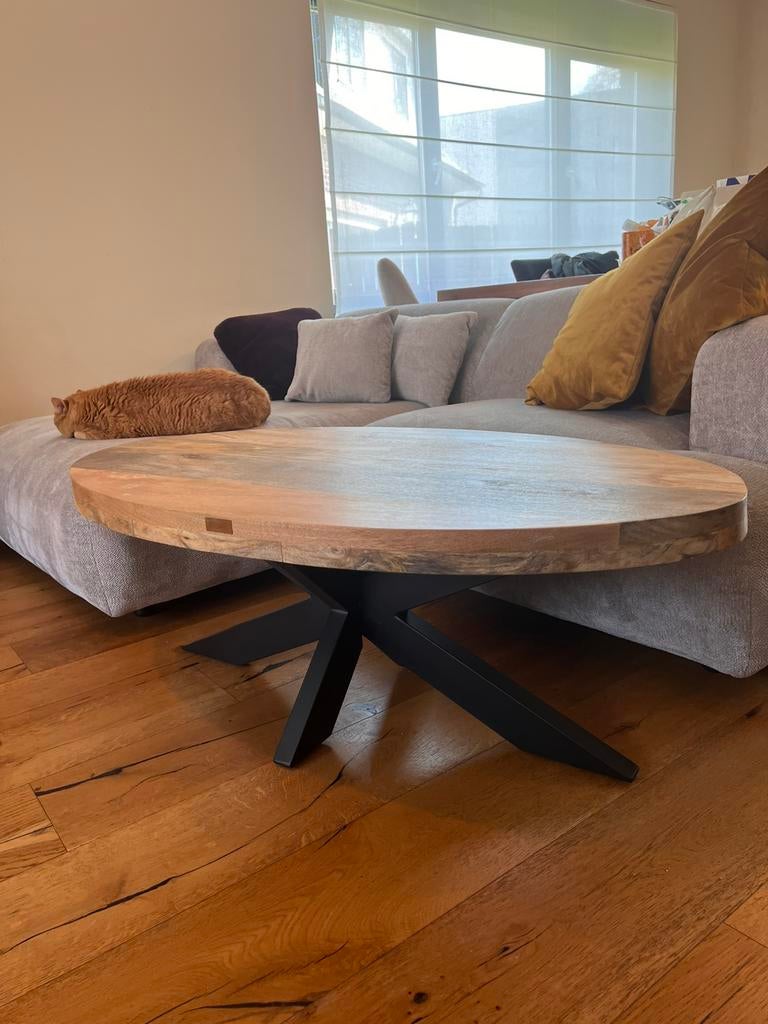 Nieuw salontafel, Ophalen, 100 tot 150 cm, Nieuw, Minder dan 50 cm