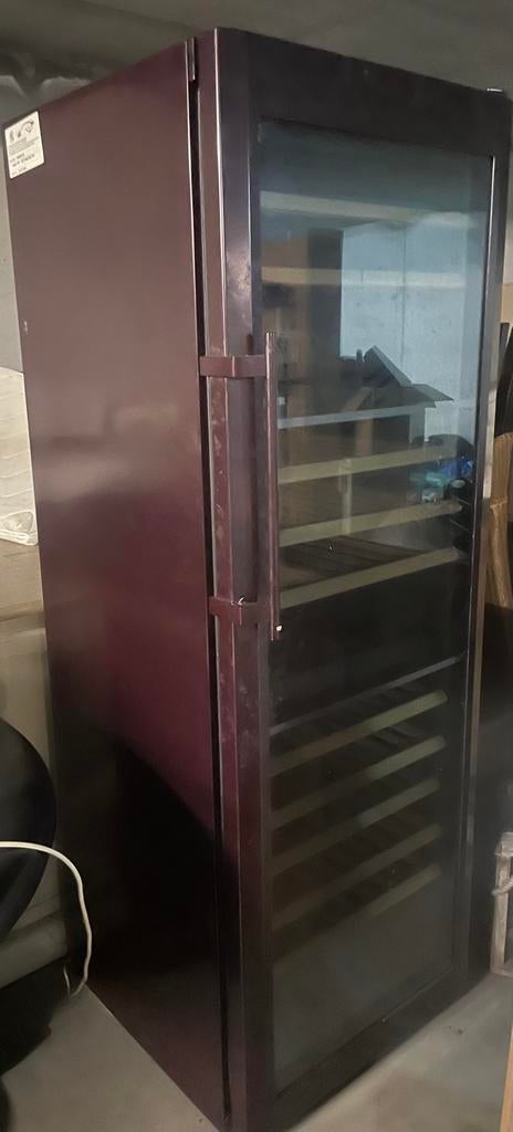 Wijnkelder/koelkast voor 200 flessen, Elektronische apparatuur, 200 liter of meer, Ophalen, Zo goed als nieuw, 160 cm of meer