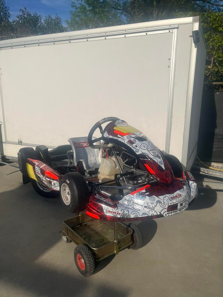 KR mini te koop, Sports & Fitness, Enlèvement, Utilisé, Kart