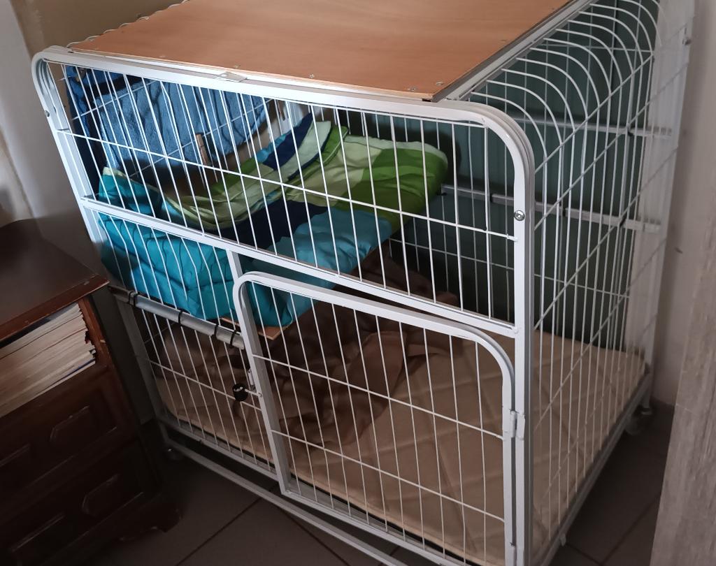 kattenren, Dieren en Toebehoren, Ophalen, Gebruikt