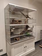 Grote chinchilla kooi zonder tralies 120x50x120, Animaux & Accessoires, Neuf, 90 cm ou plus, Enlèvement ou Envoi, Cage