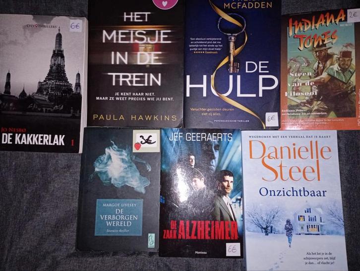 Thrillers, Boeken, Thrillers, Zo goed als nieuw, België, Ophalen of Verzenden