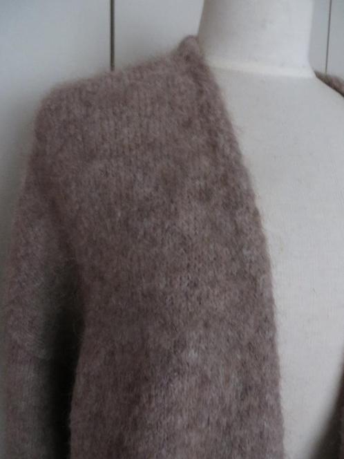 prachtig lekker warme vest, Kleding | Dames, Truien en Vesten, Nieuw, Maat 42/44 (L), Beige, Ophalen
