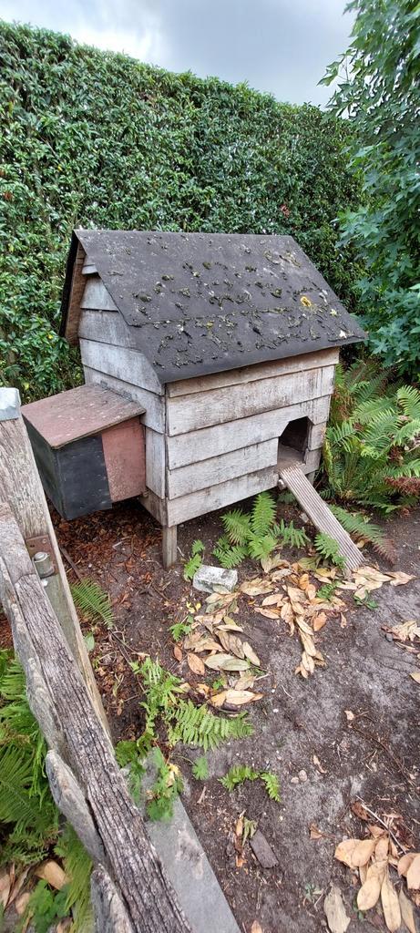 Kippenhok in eik, Dieren en Toebehoren, Pluimvee | Toebehoren, Ophalen