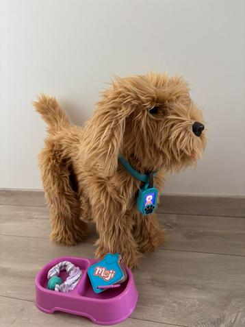 Jouet interactif Moji The Lovable Labradoodle, Enlèvement