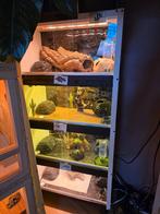 Bloc 4 terrarium, Animaux & Accessoires, Reptiles & Amphibiens | Accessoires, Enlèvement, Comme neuf, Terrarium ou Paludarium