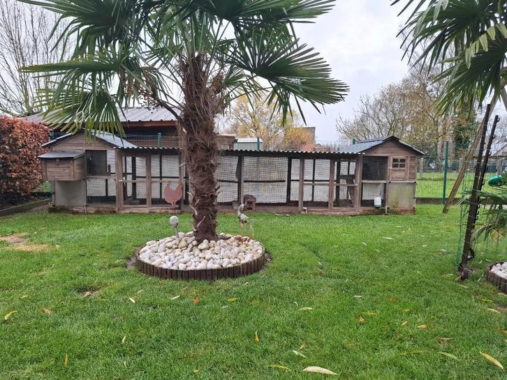 Overdekt dubbel kippenhok met ren, winddicht, Animaux & Accessoires, Autres accessoires pour animaux, Utilisé, Enlèvement