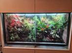 Paludarium Rana, Dieren en Toebehoren, Ophalen, Verlichting