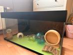 Terranium L100xB35xH50, Dieren en Toebehoren, Ophalen, Gebruikt, Terrarium of Paludarium