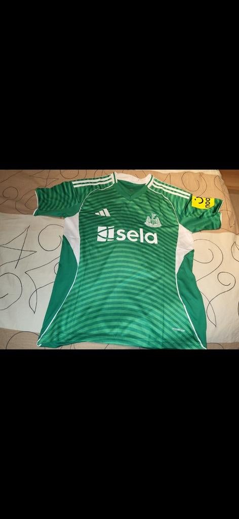 Maillot du Newcastle saison 25/26, Ophalen of Verzenden, Zo goed als nieuw, Shirt