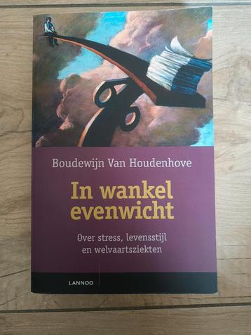 Boudewijn Van Houdenhove - In wankel evenwicht beschikbaar voor biedingen