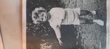 Foto prins Albert  beschikbaar voor biedingen