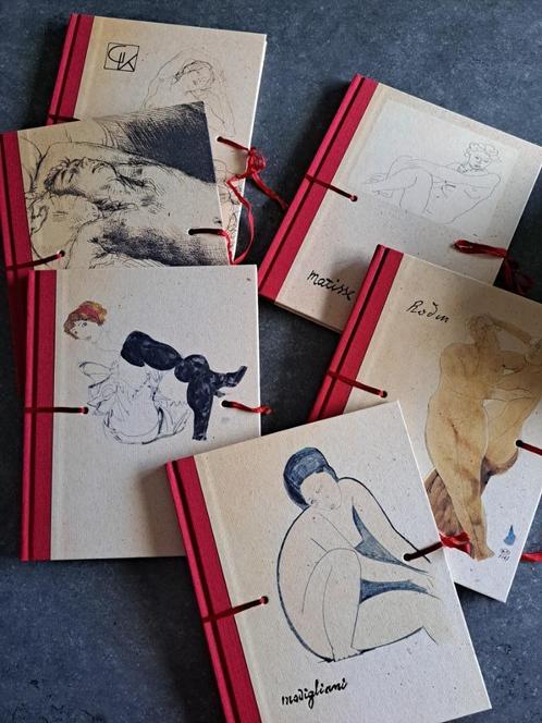 Reeks Erotische Schetsboeken - De Standaard, Boeken, Kunst en Cultuur | Beeldend, Zo goed als nieuw, Schilder- en Tekenkunst, Ophalen of Verzenden
