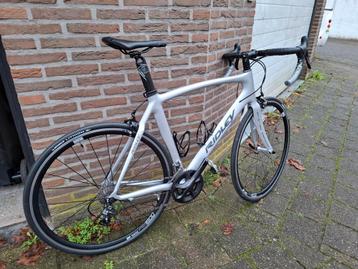 Ridley noah beschikbaar voor biedingen