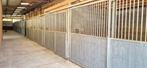 Boxen te huur (volpension), Weidegang, 4 paarden of pony's of meer