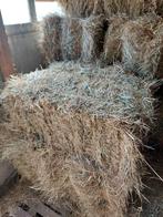 Kleine pakjes hooi, Zakelijke goederen, Landbouw | Veevoer, Ophalen of Verzenden