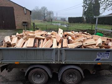 brandhout gezaagd en gekloven beschikbaar voor biedingen