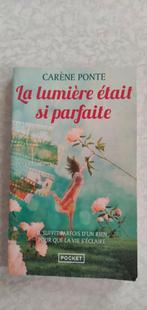 Carène Ponte - La lumière était si parfaite, Enlèvement, Utilisé