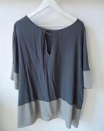 Blouse 2 tinten grijs, Kleding | Dames, Ophalen of Verzenden, Gedragen, Maat 46/48 (XL) of groter, Grijs