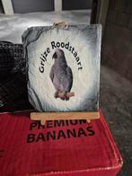 Leisteen papegaai grijze roodstaart, Verzamelen, Ophalen of Verzenden