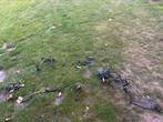 Kabelboom piaggio, gilera, Ophalen, Zo goed als nieuw, Overige typen