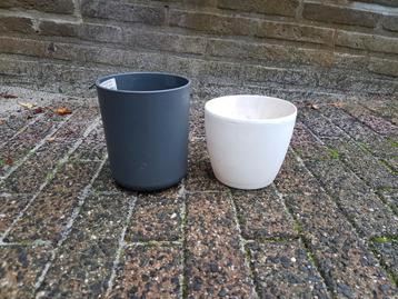 Elho orchidee bloempotten beschikbaar voor biedingen