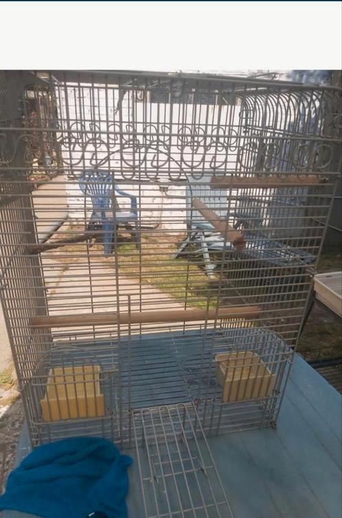 Cage oiseau, Dieren en Toebehoren, Vogels | Hokken en Kooien, Gebruikt, Metaal, Ophalen