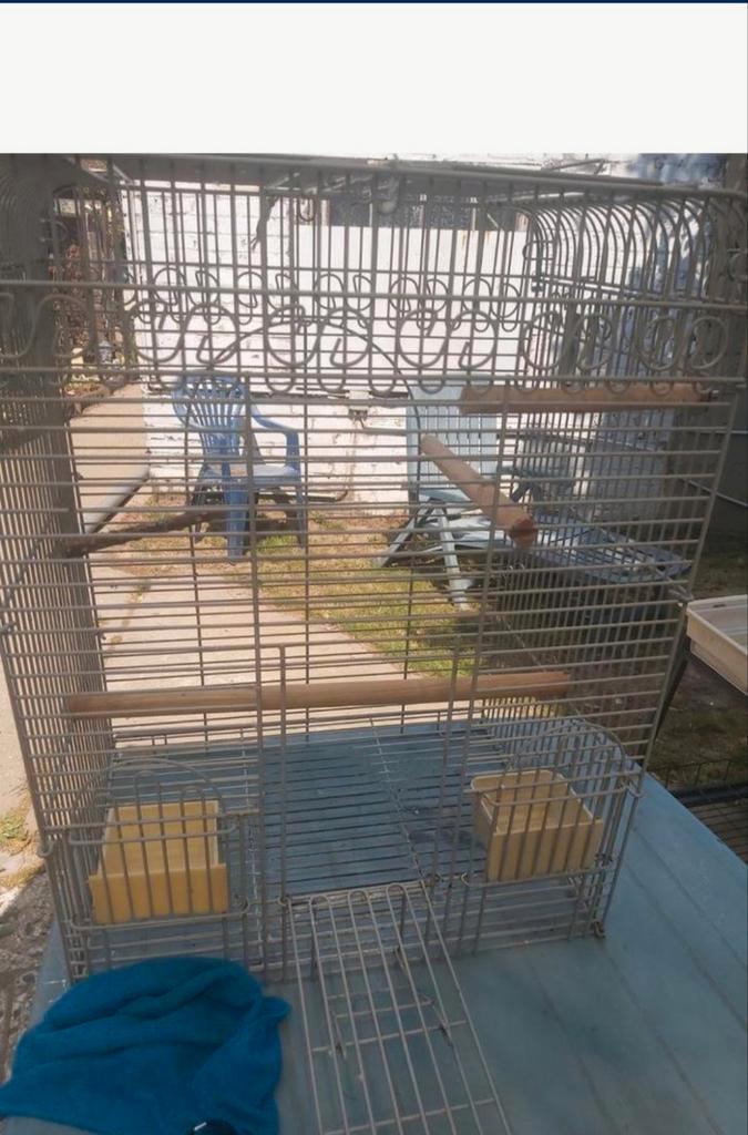 Cage oiseau, Animaux & Accessoires, Oiseaux | Cages & Volières, Utilisé, Métal, Enlèvement