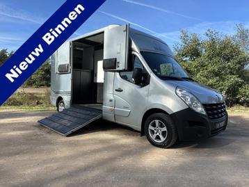 Renault Master MTM 2-paards paardenvrachtwagen MARGE B-rijbe beschikbaar voor biedingen
