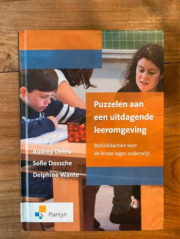 Puzzelen aan een uitdagende leeromgeving beschikbaar voor biedingen