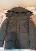 Canado goose jas, Kleding | Heren, Ophalen of Verzenden, Zo goed als nieuw, Maat 46 (S) of kleiner, Zwart