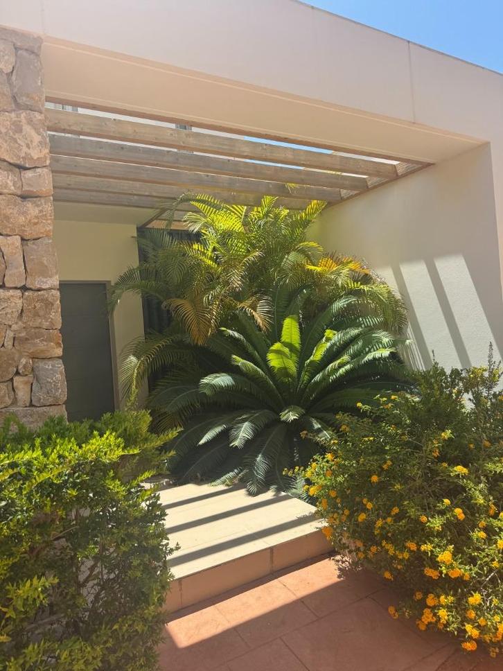Prestige villa met zeezicht, privétuin en jacuzzi, Immo, Huizen en Appartementen te koop, tot 200 m², Twee onder één kap, A+++