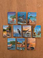 Op zoek naar Dolfijnen. Reeks van 10 boeken., Enlèvement ou Envoi, L. Daniels