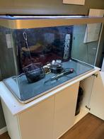 Aquarium / visbak (270l) met alle benodigdheden, Dieren en Toebehoren, Ophalen, Zo goed als nieuw, Leeg aquarium