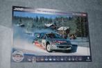poster peugeot 206 wrc 2001 world rally championship, Ophalen of Verzenden, Gebruikt, Auto's