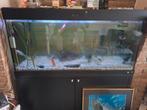 Juwel aquarium met kast, Ophalen, Zo goed als nieuw