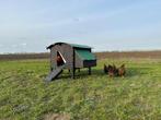 Kunststof Kippenhok - Nestera Large Op Pootjes, Dieren en Toebehoren, Ophalen of Verzenden, Nieuw, Kippenhok of Kippenren