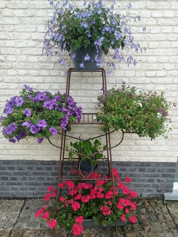 Unieke Planten/bloemen etagere 