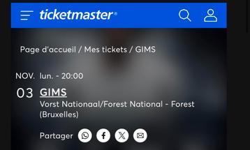 Ticket GIMS EN FOSSES LE 3/11 FOREST NATIONAL, Une personne