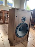 Cerwin Vega HED vintage speakers, Audio, Tv en Foto, Luidsprekerboxen, Ophalen of Verzenden