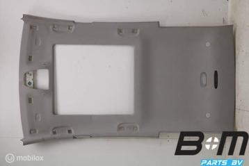 Hemel Mercedes B-Klasse W245 A1696901650 beschikbaar voor biedingen