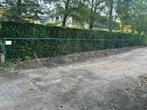Afsluiting 15m lang x 1,25m hoog GRATIS, Doe-het-zelf en Bouw, Ophalen, Gebruikt