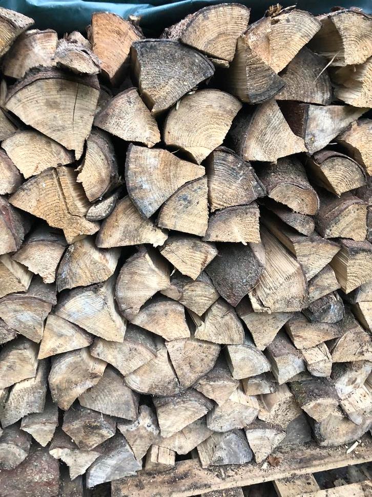 Brandhout den, gekloven en droog tussen 20 <-> 40, Jardin & Terrasse, Bois de chauffage, Bûches, Autres essences de bois, Moins de 3 m³