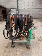 Dubbel span full leder, Dieren en Toebehoren, Paarden en Pony's | Hoofdstellen en Tuigage, Ophalen, Gebruikt, Overige soorten