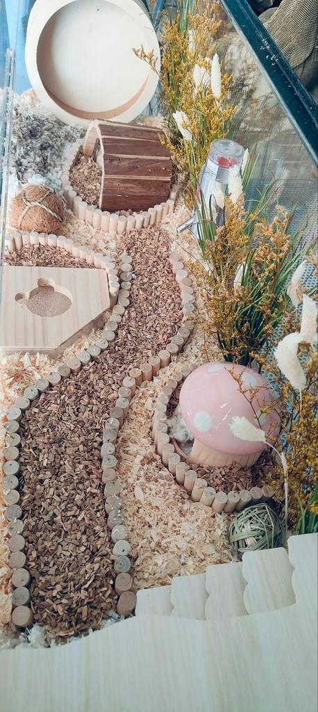 Hamster terrarium 100x40x30, Dieren en Toebehoren, Knaagdieren