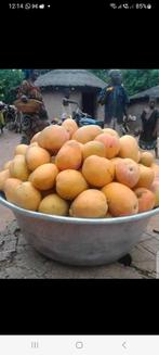 Retour affectif martinique 06 96 76 82 46 vaudou bruxelles