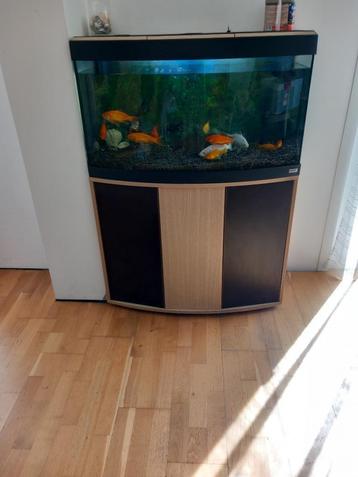Aquarium sur meuble - complet - 150L, Enlèvement, Utilisé, Aquarium d'eau douce rempli